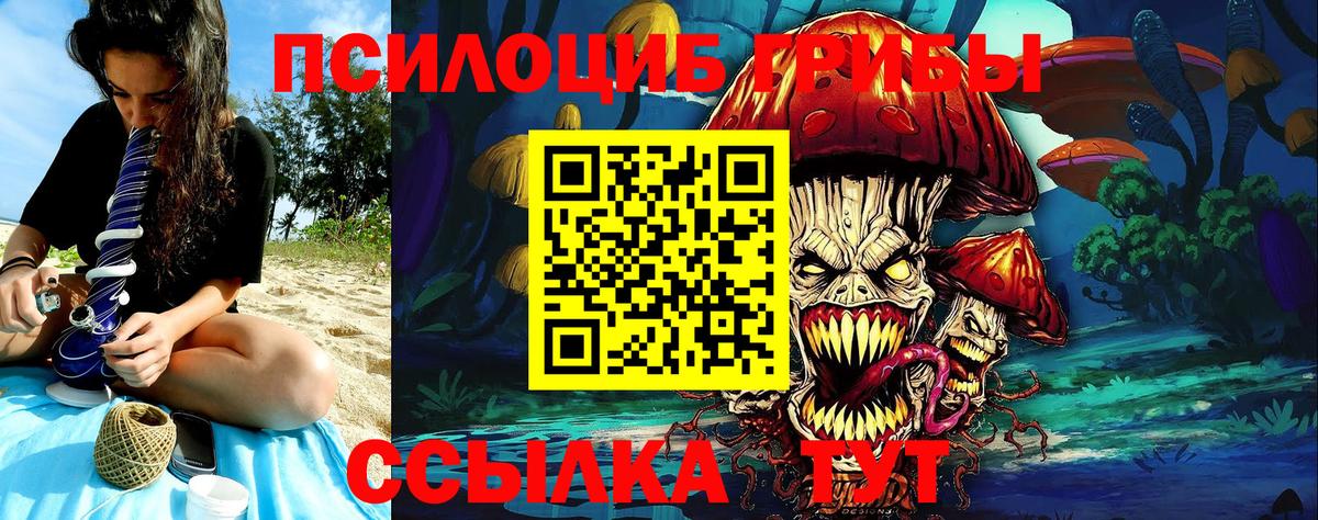 Псилоцибиновые грибы MAGIC MUSHROOMS  Галлюциногенные грибы прущие грибы  Вход с VPN  Тара 