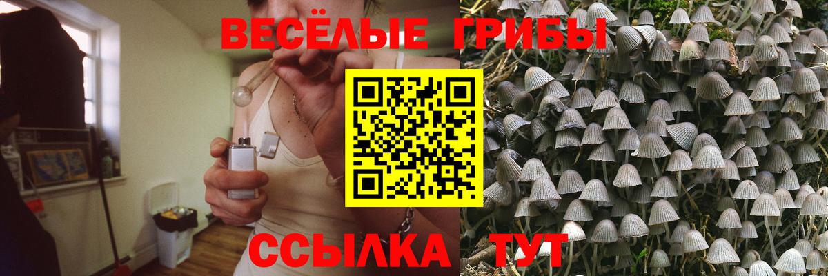 Галлюциногенные грибы MAGIC MUSHROOMS Тара